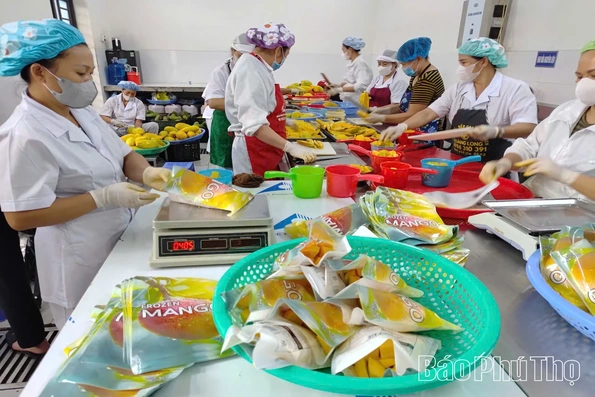 Tổng giá trị xuất khẩu nông, lâm, thủy sản đạt gần 1.800 tỷ đồng