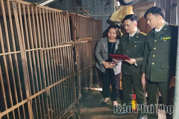 Kiểm lâm Yên Lập tích cực tuyên truyền chuyển giao gấu nuôi