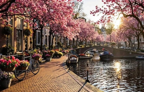 Tour châu Âu kín khách Việt dịp Tết