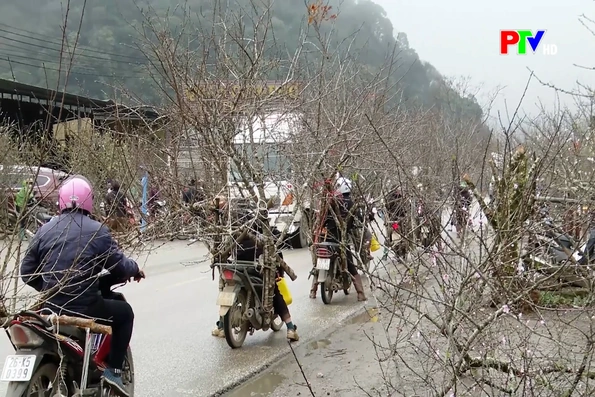 Sắc xuân từ đại ngàn