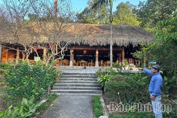 Nhà sàn bê tông - Nét đẹp giữa hiện đại và truyền thống