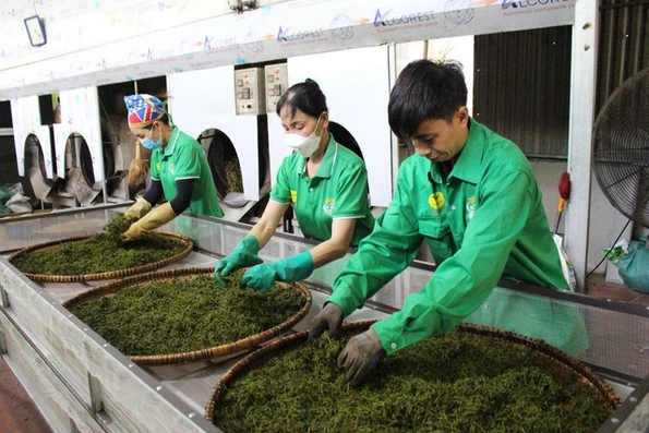 Thị trường trong nước - “bệ đỡ” để hàng Việt bứt tốc