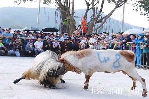 Hệ lụy từ những trò đỏ đen ngày Xuân