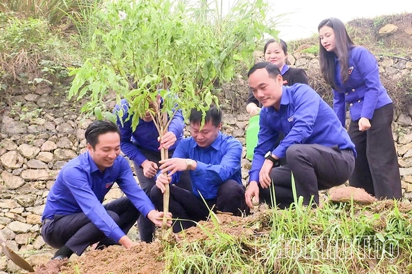 Khởi động Tháng Thanh niên năm 2026 với nhiều hoạt động vì cộng đồng