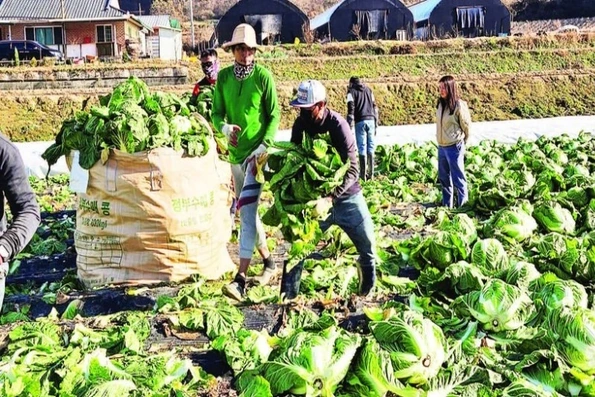 Hàn Quốc công bố Chiến lược Tương lai Chính sách Nhập cư 2030