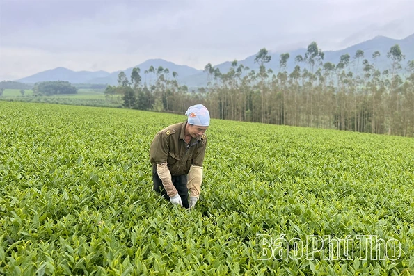 Phụ nữ&nbsp;Đất Tổ với Cuộc vận động&nbsp;