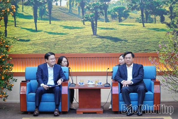 Chủ tịch UBND tỉnh Trần Duy Đông tiếp và làm việc với Công ty TNHH Imarket Việt Nam