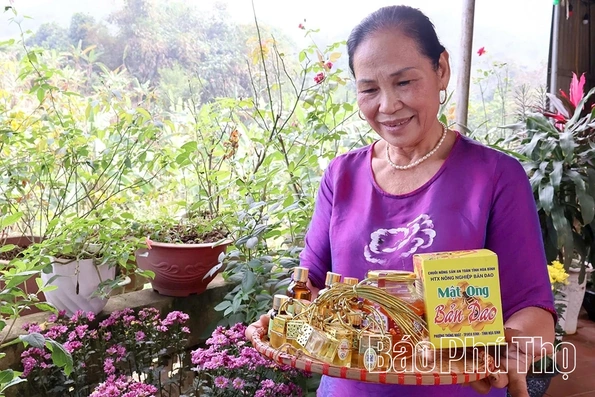 Người “đánh thức” hương sả bản Dao