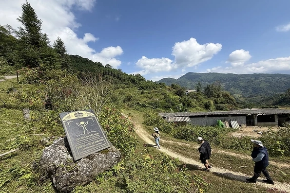 Chặt cành búp tím, bỏ quên Pà Cò