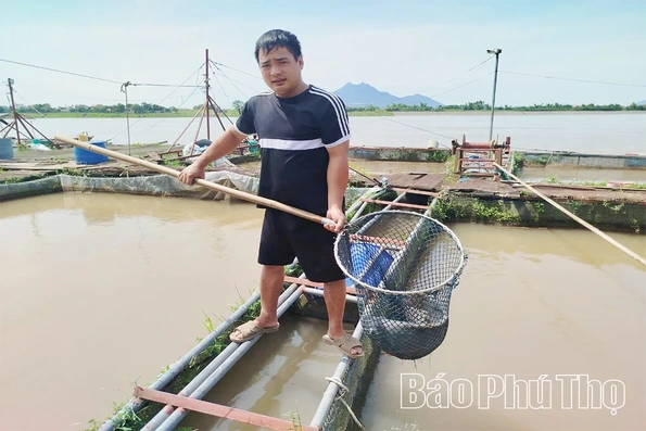Phát triển bền vững nghề nuôi cá lồng