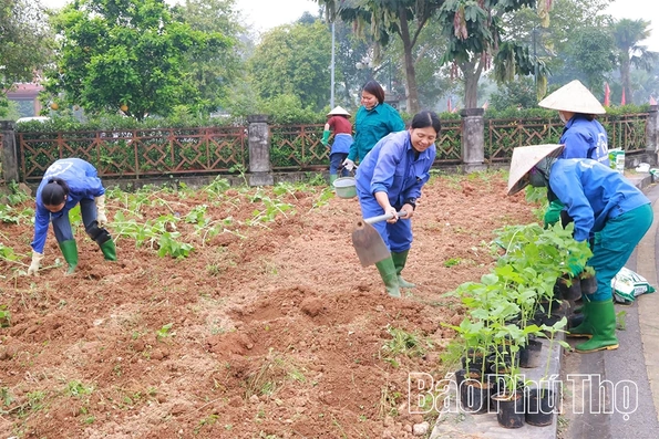 Trồng mới hơn 90.000 cây hoa hướng dương và cúc nhám phục vụ Lễ hội Đền Hùng