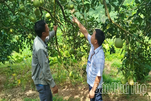 Từ Nghị quyết đến thực tế