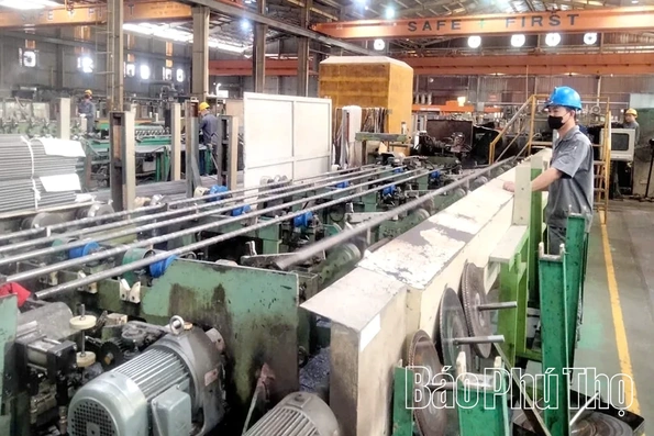 Diamond thân thiện với môi trường để phát triển bền vững