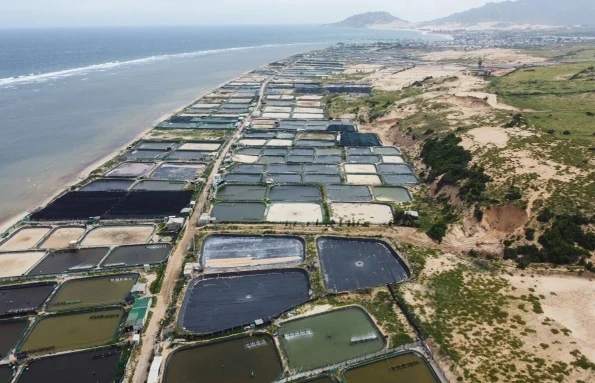 Phạt 2 tỷ đồng nếu để xảy ra sự cố hạt nhân