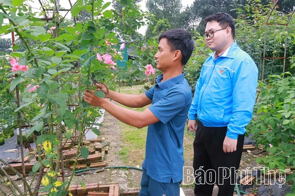 Tuổi trẻ Vạn Xuân xung kích xây dựng quê hương