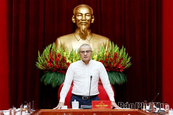 Triển khai quyết định, kế hoạch giám sát chuyên đề của Ban Thường vụ Tỉnh ủy