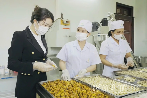 DBFOOD hạt vàng dinh dưỡng