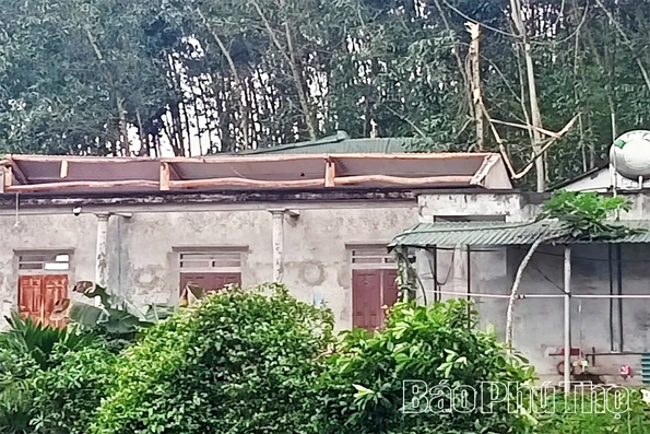 Khẩn trương khắc phục thiệt hại do dông, lốc gây ra