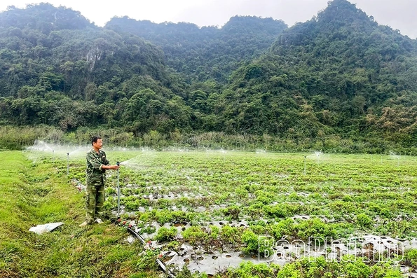 Ứng dụng khoa học kỹ thuật vào sản xuất, nâng tầm nông sản