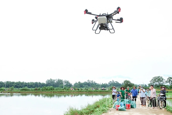 Tiên Lữ tập trung sản xuất nông nghiệp ứng dụng công nghệ cao