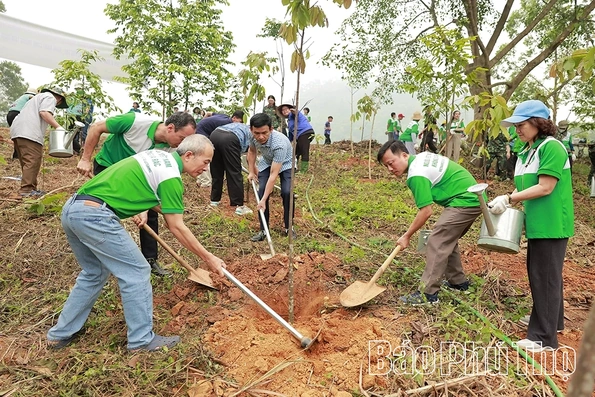 Trồng thêm 500 cây xanh trong khuôn viên Khu di tích lịch sử Đền Hùng