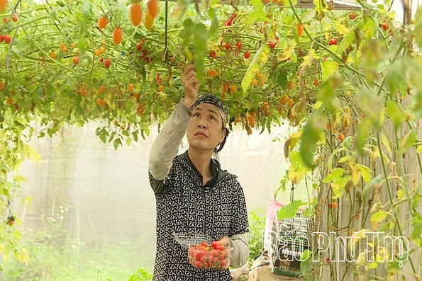 Miễn thuế đất nông nghiệp - Động lực cho phát triển sản xuất nông nghiệp