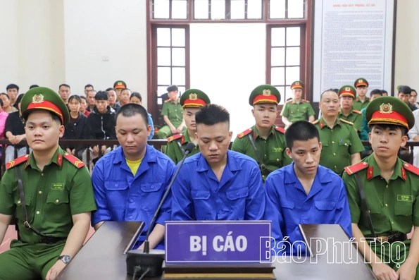 Vận chuyển hơn 70kg ma túy, 3 bị cáo cùng lĩnh án tù chung thân