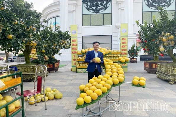 Phát triển sở hữu trí tuệ - Nâng tầm giá trị thương hiệu Đất Tổ