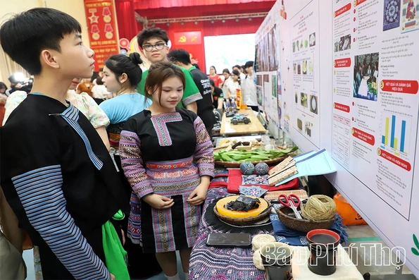 Sôi nổi Ngày hội STEM tại Trường Phổ thông Dân tộc nội trú THPT Hòa Bình