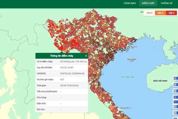 Nắng nóng gay gắt, cảnh báo nguy cơ cháy rừng tại nhiều khu vực trên cả nước