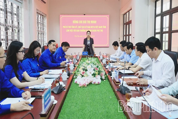 Phó Bí thư Tỉnh ủy Bùi Thị Minh làm việc với Ban Thường vụ Tỉnh đoàn