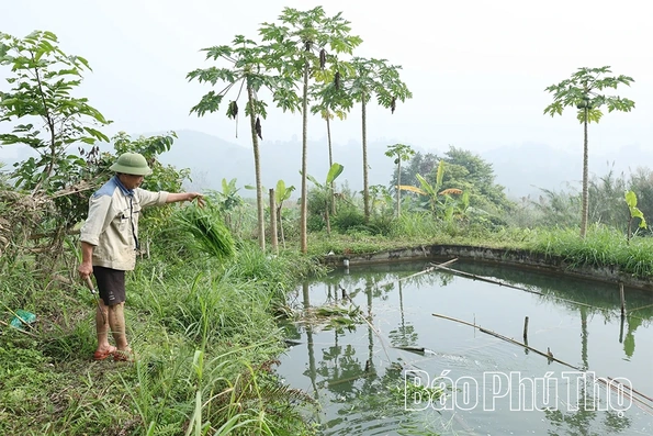 Nông dân xã Toàn Thắng thi đua phát triển kinh tế, xây dựng nông thôn mới