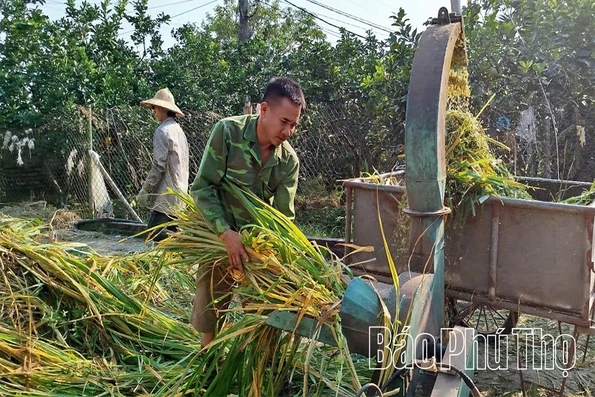 Chủ động thích ứng khi giá vật tư nông nghiệp tăng cao