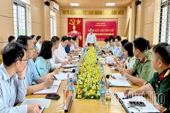 Giám sát chuyên đề đối với Ban thường vụ Đảng ủy xã Tam Dương Bắc