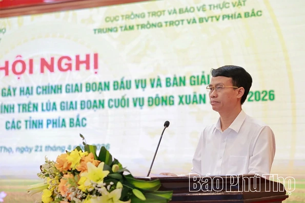 Bàn giải pháp phòng, chống sinh vật gây hại chính trên lúa Đông Xuân giai đoạn cuối vụ
