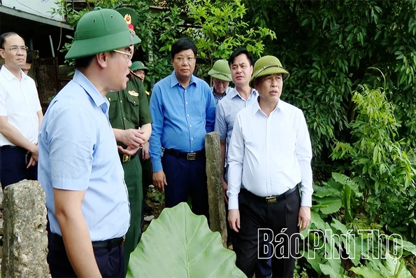 Kiểm tra, chỉ đạo công tác ứng phó, khắc phục tình trạng sụt lún, sạt lở đê tả sông Thao