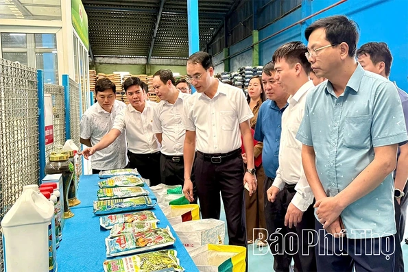 Phú Thọ triển khai mô hình nông nghiệp tuần hoàn, hướng tới phát triển bền vững