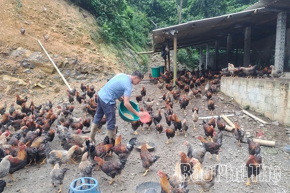 Nhân rộng các mô hình sinh kế hướng tới giảm nghèo bền vững