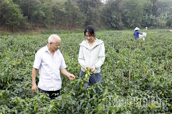 HTX Dịch vụ Nông nghiệp Hưng Long - Liên kết để phát triển