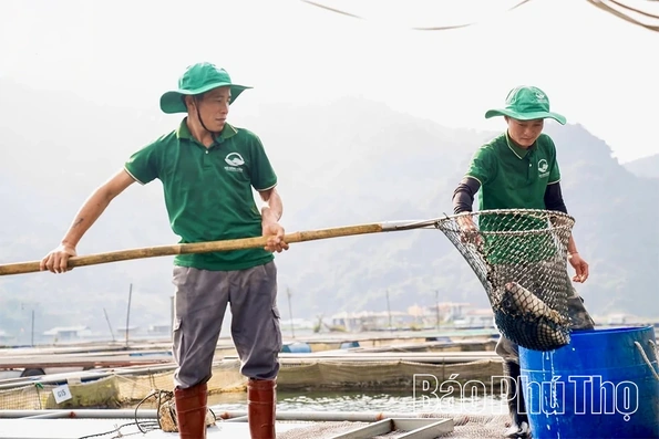 Bài 2: Những điểm sáng của kinh tế xanh