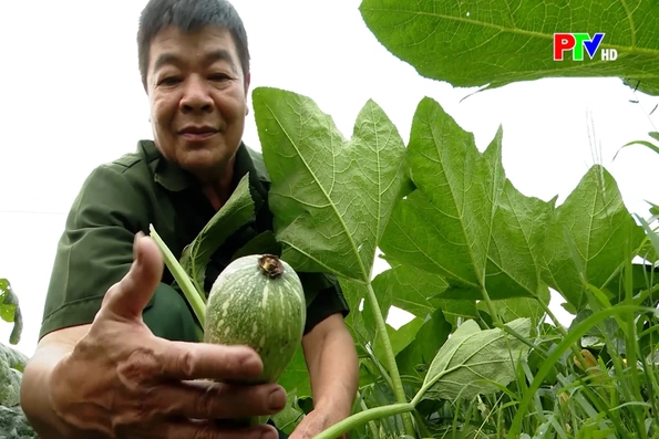 Những người lính tiên phong trên mặt trận kinh tế