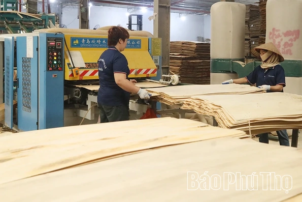 Kỳ Sơn: Trải thảm đỏ đón đầu tư, tạo sinh kế bền vững