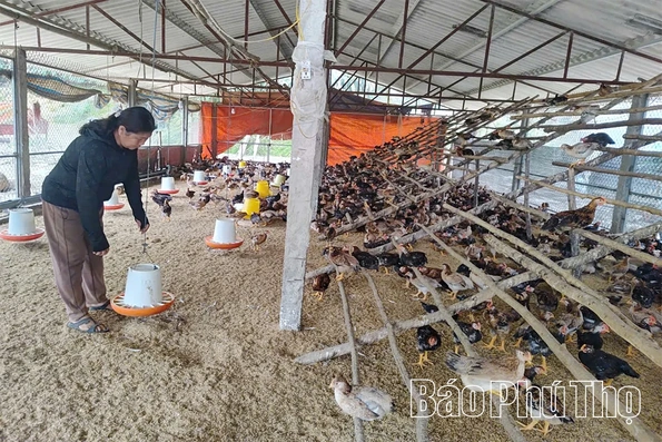 Thoát nghèo nhờ vốn vay ưu đãi