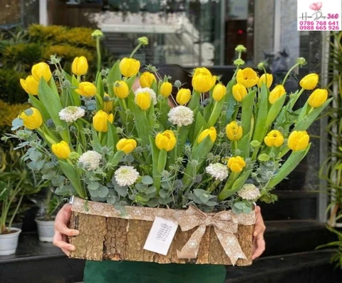 Shop Hoa Đẹp 360 Hoa Tulip Tươi Và Bó Hoa Sang Trọng Giao Nhanh 2H