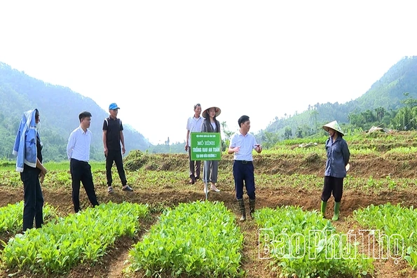 Để tấc đất hóa “tấc vàng” giữa đại ngàn Đèo Mương 2