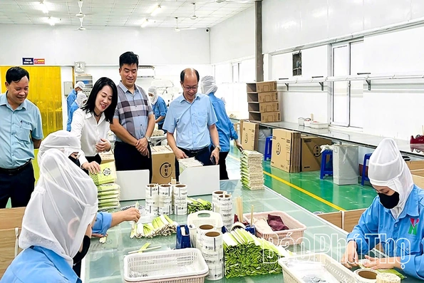 Lực đẩy phong trào nông dân sản xuất kinh doanh giỏi ở Hy Cương
