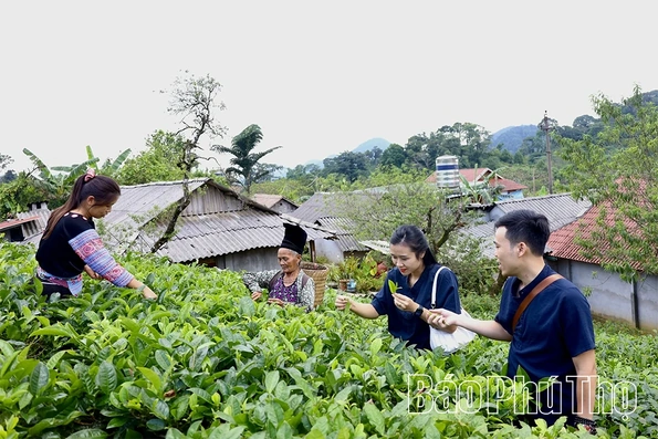 Vùng cao&nbsp;khắc&nbsp;ghi&nbsp;lời Người