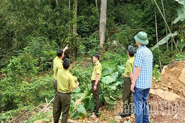 Kiểm tra công tác phòng cháy và chữa cháy rừng xã Cao Sơn