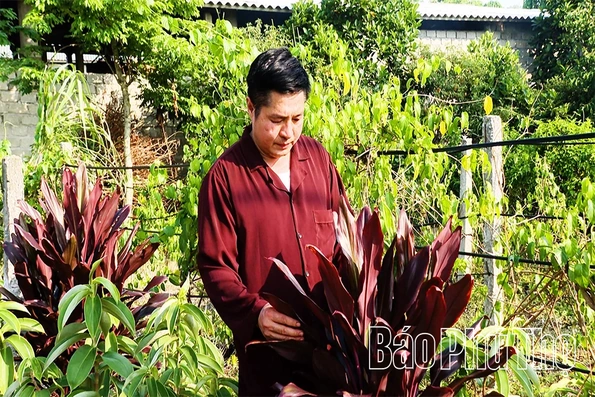 Giữ gìn tri thức y học dân gian của người Sán Dìu
