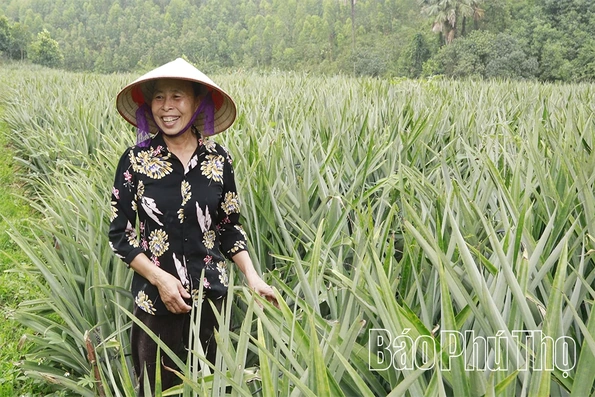 Nghị quyết mở hướng, nông dân làm giàu